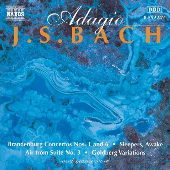 Bach, J.S.: Adagio by Jaroslav Dvořák