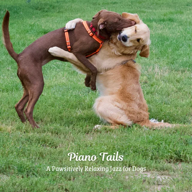 Piano Tails: A Pawsitively Relaxing Jazz for Dogs