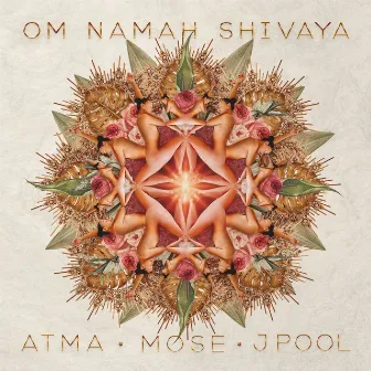 Om Namah Shivaya by J.Pool