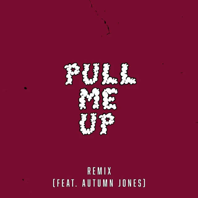 Pull Me Up Remix - Remix