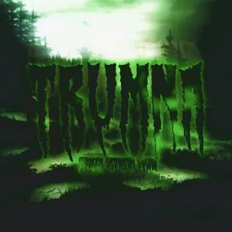 TRUMNA by Buszek