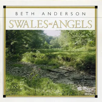 Beth Anderson: Swales and Angels by Rubio String Quartet