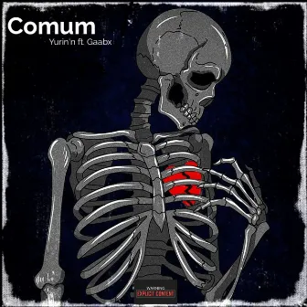 Comum by Unknown Artist