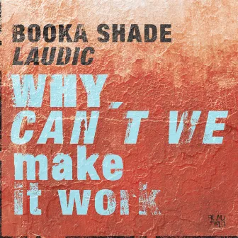 Why Can't We Make It Work by Laudic