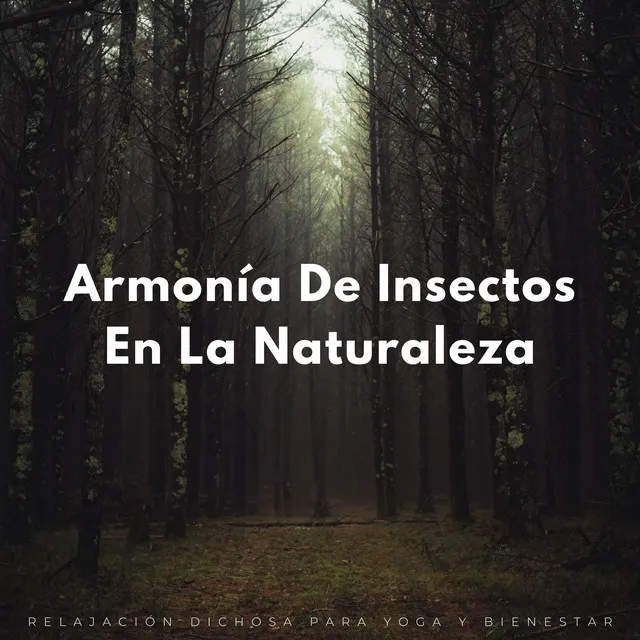 Armonía De Insectos En La Naturaleza: Relajación Dichosa Para Yoga Y Bienestar