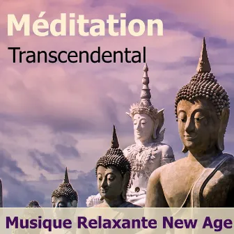 Méditation Transcendentale: Musique Relaxante New Age avec Sons de la Nature et les Chants d'Oiseaux pour Kundalini Kriya Yoga et Méditation Pleine Conscience by Unknown Artist