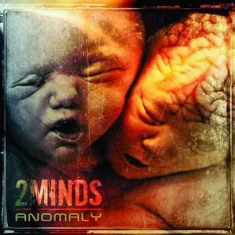 Anomaly by 2 Minds