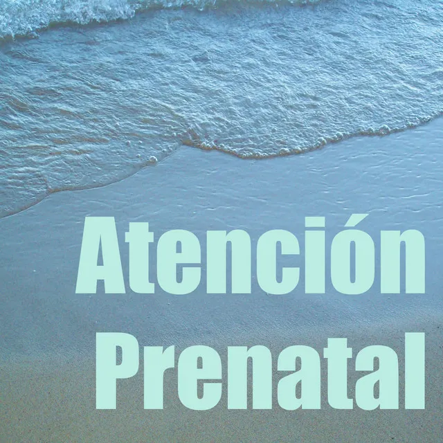 Atención Prenatal