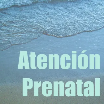 Atención Prenatal by Alegria