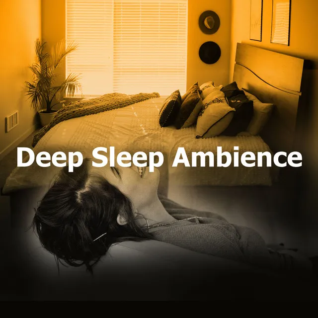 Deep Sleep Ambience