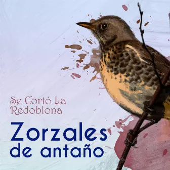 Zorzales de Antaño…Se Cortó La Redoblona by 