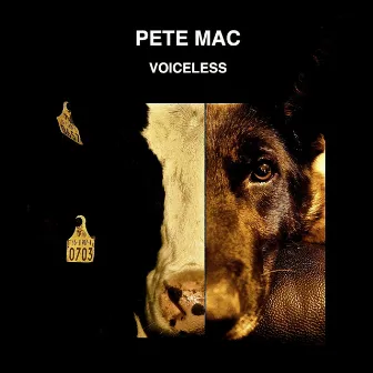 Voiceless by Pete Mac