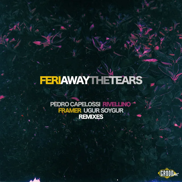 Away the Tears - Ugur Soygur & Framer Dub Mix