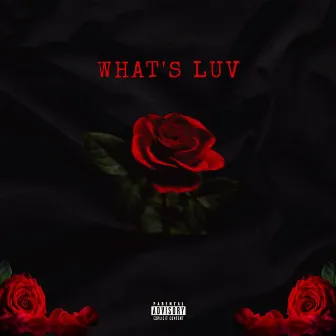 What's Luv by Rizzy Ray