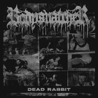 Dead Rabbit by Bodysnatcher