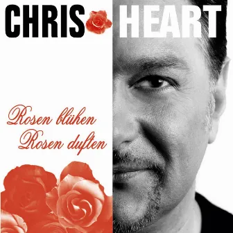 Chris Heart Rosen blühen Rosen duften by Chris Heart