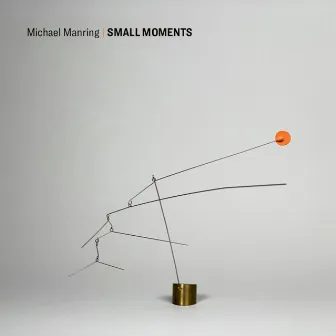 Small Moments by Michael Manring