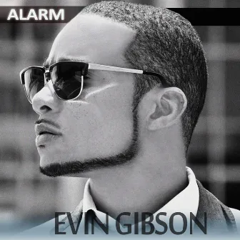 Alarm by Evin Gibson