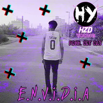 E.N.V.I.D.I.A by Hzd Young