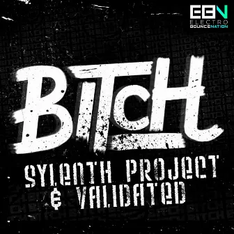 Bitch! by Validated