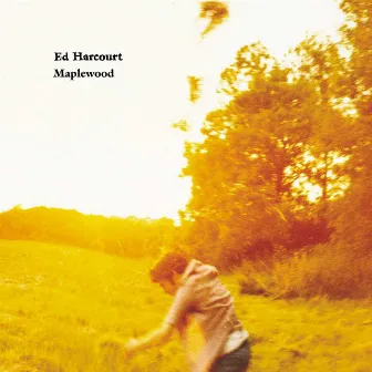 Maplewood by Ed Harcourt