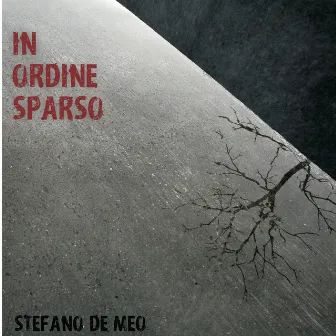 In Ordine Sparso by Stefano De Meo