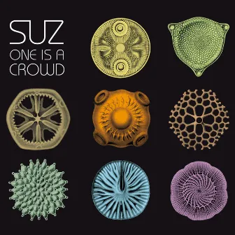 One Is a Crowd by Suz