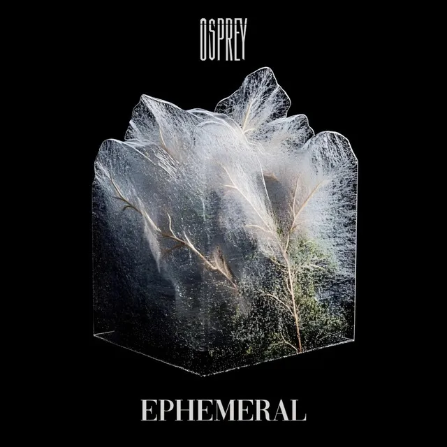 Ephemeral