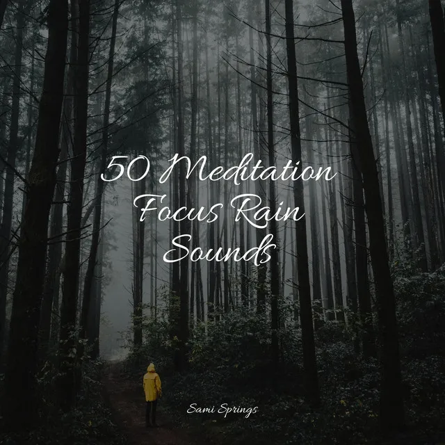 50 Meditation Focus Rain Sounds