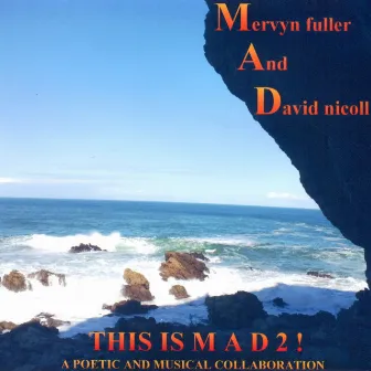 This Is Mad 2 (A Poetic and Musical Collaboration) by David Nicoll