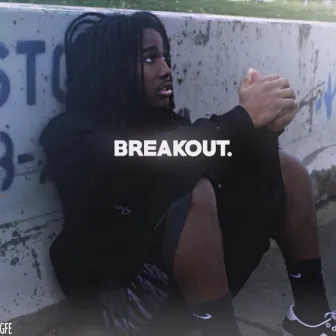 Breakout by Leway Gutter