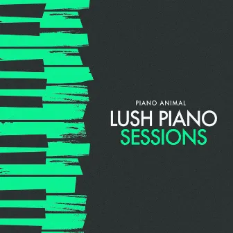 Lush Piano Sessions by Piano Animal