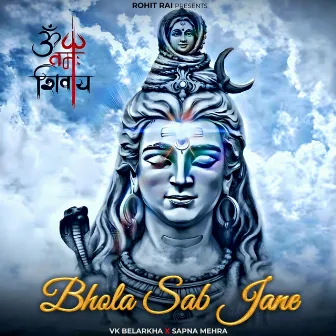 Bhola Sab Jane by Sapna Mehra