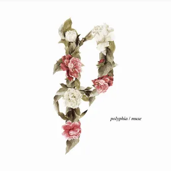 Muse by Polyphia