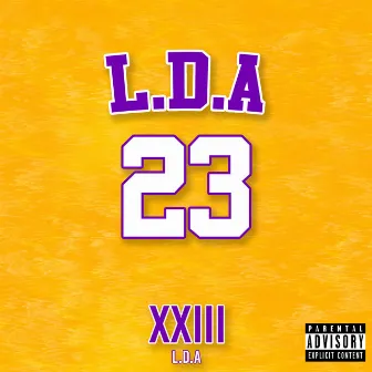 23 by LDA