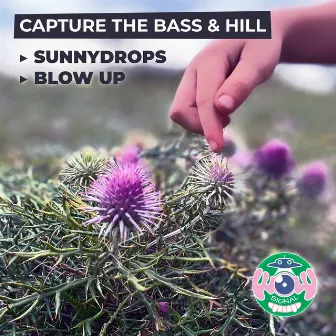 Sunnydrops / Blow Up by Capture the Bass