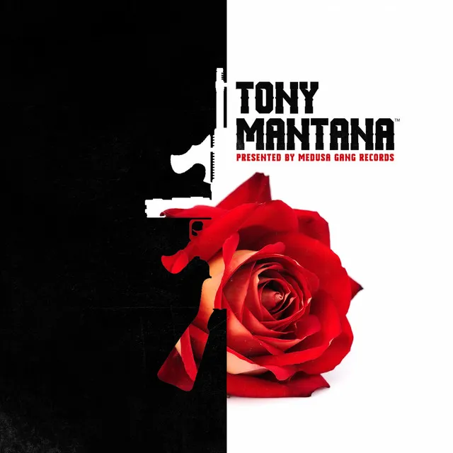 Tony Mantana