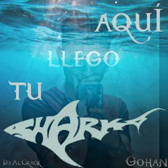 Aquí llego tu tiburón by Gohan