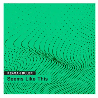 Seems Like This by Reagan Ruler