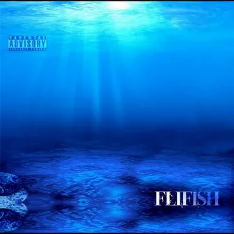 Fli Fish by Judah Morrison