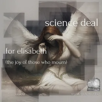 For Elisabeth (The Joy Of Those Who Mourn) by Science Deal