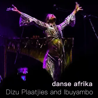 Danse Afrika by Dizu Plaatjies