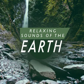 Relaxing Sounds of the Earth by Unknown Artist