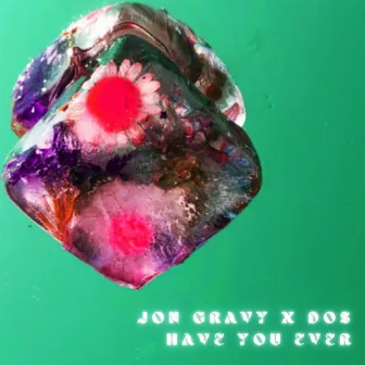 Have You Ever by Jon Gravy