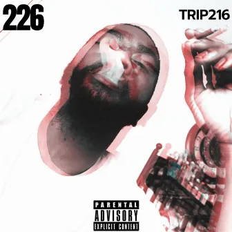 226 by Big Trip