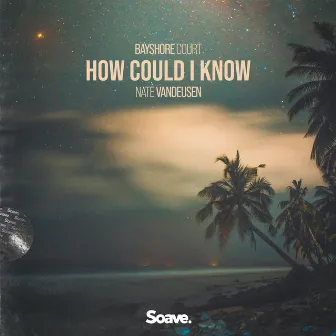 How Could I Know by Bayshore Court