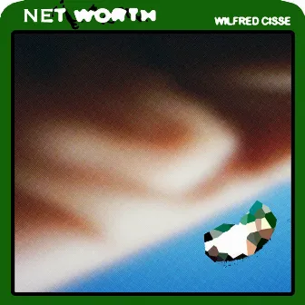 Net Worth by Wilfred Cisse