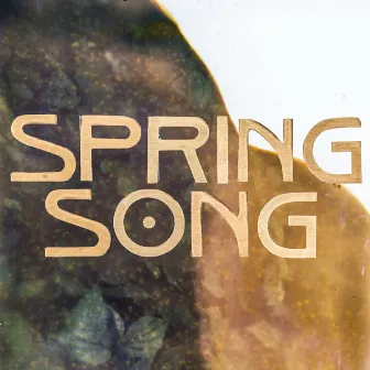 Spring Song by Andreas Ulvo