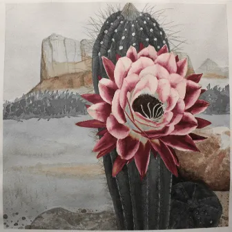 Desert Blossom by Zane