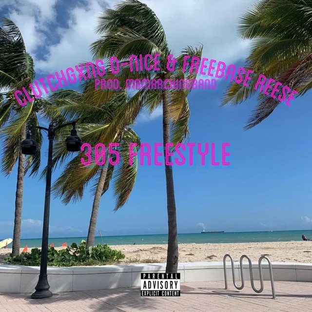 305 FreeStyle